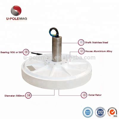 15 W ονομαστική ισχύς U 50 στροφές ανά λεπτό Generator Alternator Permanent Magnet για την παραγωγή ενέργειας