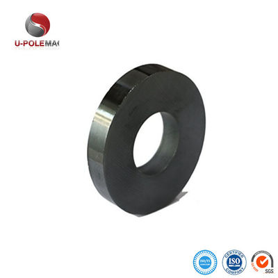 Παγκόσμια αγορά Y25 Ring Ferrite Magnet για την κατασκευή ομιλητών